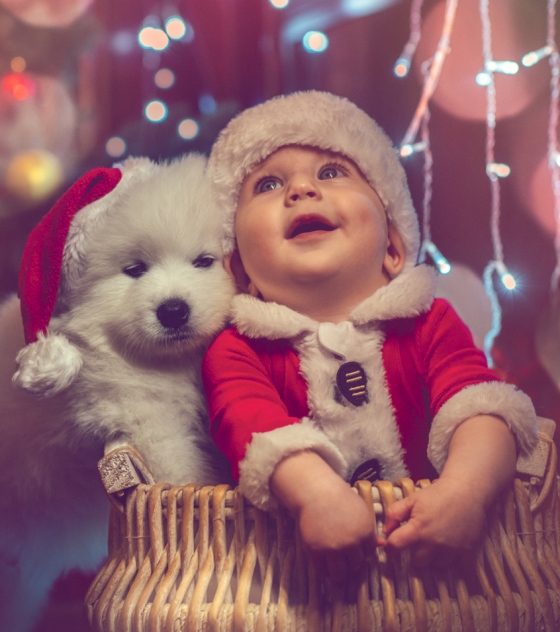 Babies and Christmas 